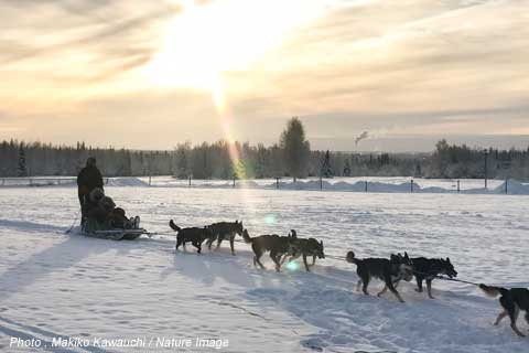 雪の上を走っている犬たち

低い精度で自動的に生成された説明